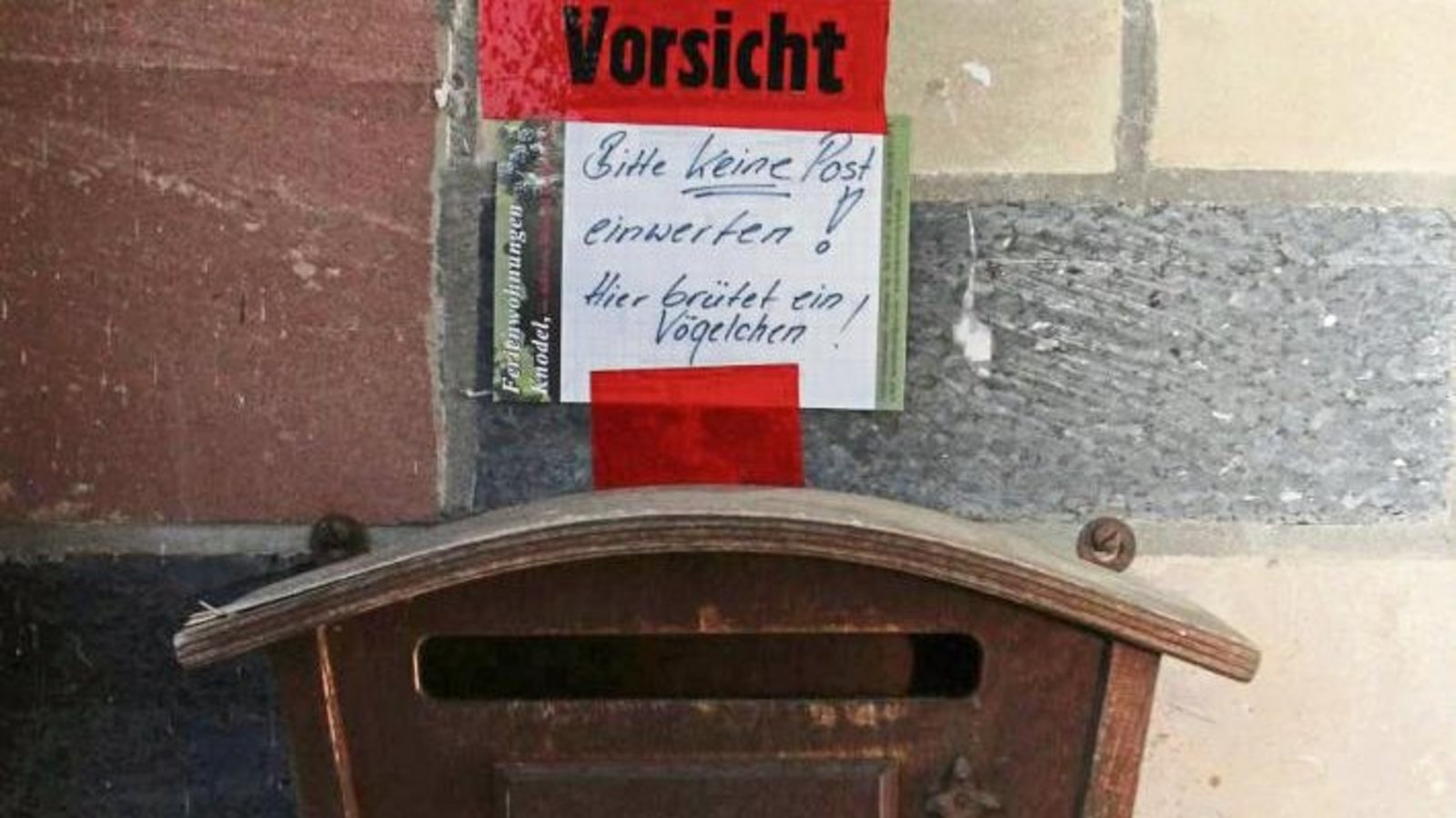 Na, wenn hier mal keine Brieftauben brüten. Gesehen in Hohenhaslach.  Foto: Rostek