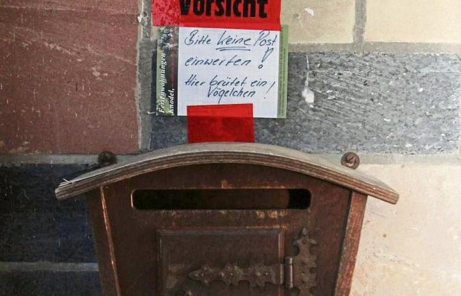 Na, wenn hier mal keine Brieftauben brüten. Gesehen in Hohenhaslach.  Foto: Rostek