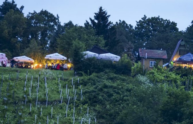 Den Wein genießen, dort wo er wächst. In den Höhen über Leonberg laden die Wengerter am Wochenende ein.<span class='image-autor'>Simon Granville</span>