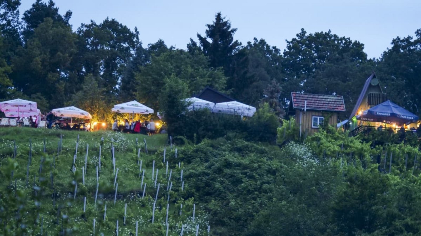 Den Wein genießen, dort wo er wächst. In den Höhen über Leonberg laden die Wengerter am Wochenende ein.Simon Granville Den Wein genießen, dort wo er wächst. In den Höhen über Leonberg laden die Wengerter am Wochenende ein.Simon Granville