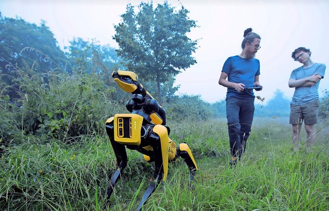 Polybot heißt der autonome Erntehelfer. Hier wird der hundeartige Roboter im Freiland trainiert.<span class='image-autor'>Foto: David Hanna/privat</span>
