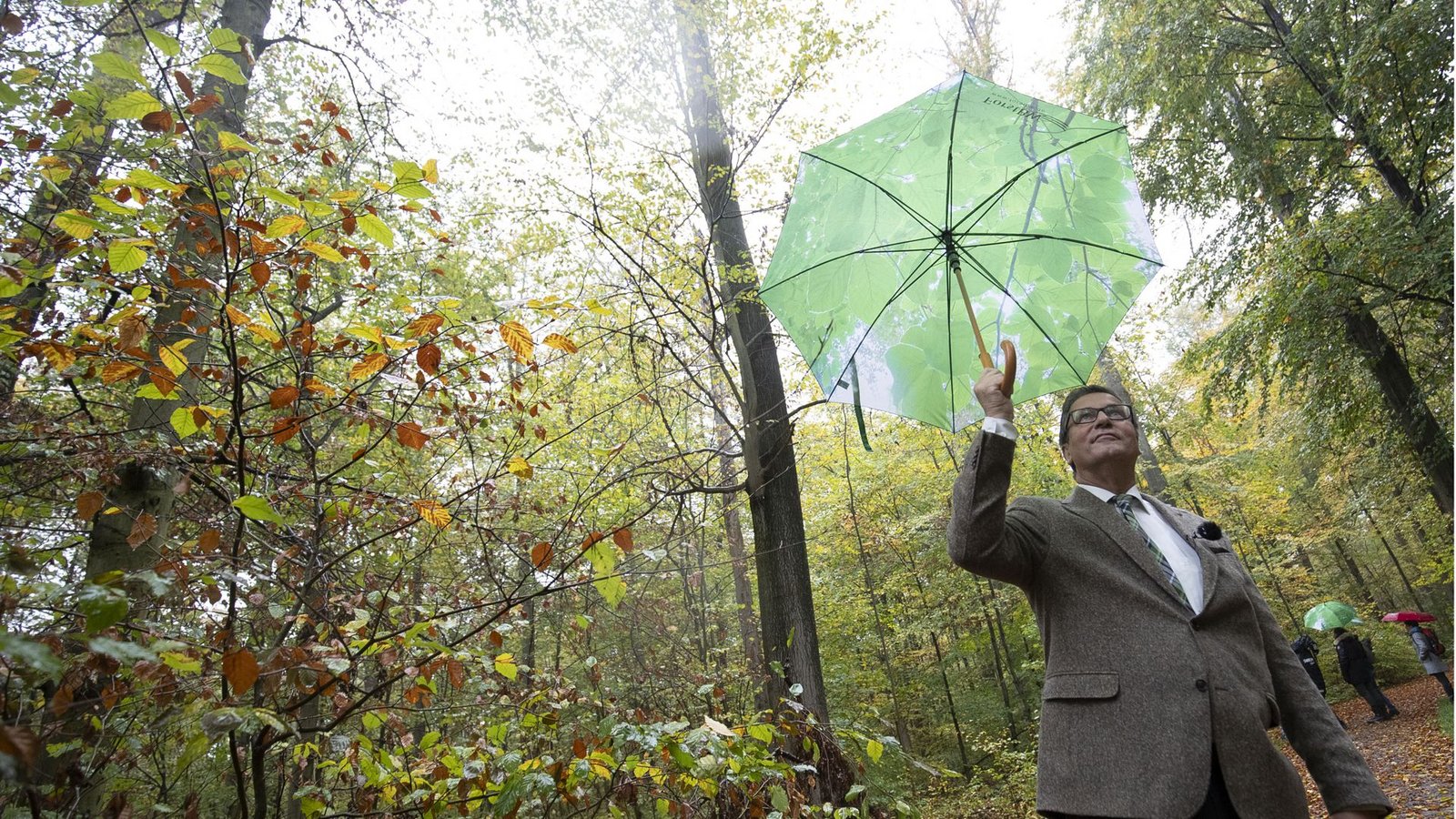 Begutachtet lichte Baumkronen im Wald bei Stuttgart-Degerloch : der baden-württembergische Forstminister Peter Hauk (CDU).Foto: Lichtgut/Leif Piechowski Begutachtet lichte Baumkronen im Wald bei Stuttgart-Degerloch : der baden-württembergische Forstminister Peter Hauk (CDU).Foto: Lichtgut/Leif Piechowski