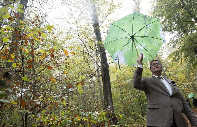 Begutachtet lichte Baumkronen im Wald bei Stuttgart-Degerloch : der baden-württembergische Forstminister Peter Hauk (CDU).<span class='image-autor'>Foto: Lichtgut/Leif Piechowski</span>