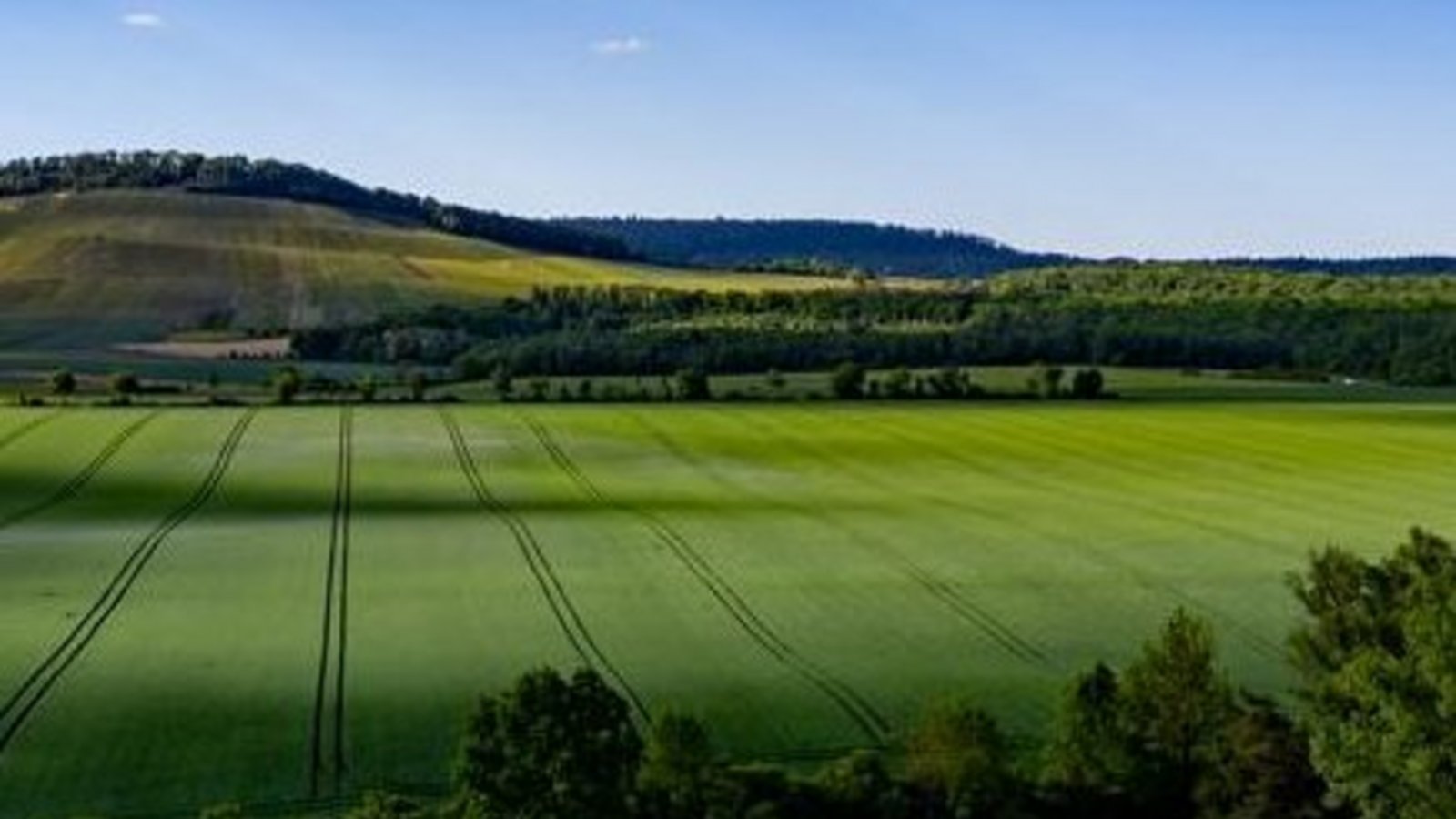 Auf dem Alleenfeld möchte die Stadt Sachsenheim eine Freiflächenphotovoltaikanlage und zwei Windräder errichten. Archivfoto: Kalb