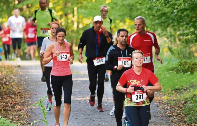 Die Streckenführung beim Volkslauf der SFG Serres verläuft vollständig durch den Wald zwischen Wiernsheim und Wurmberg. Foto: Küppers