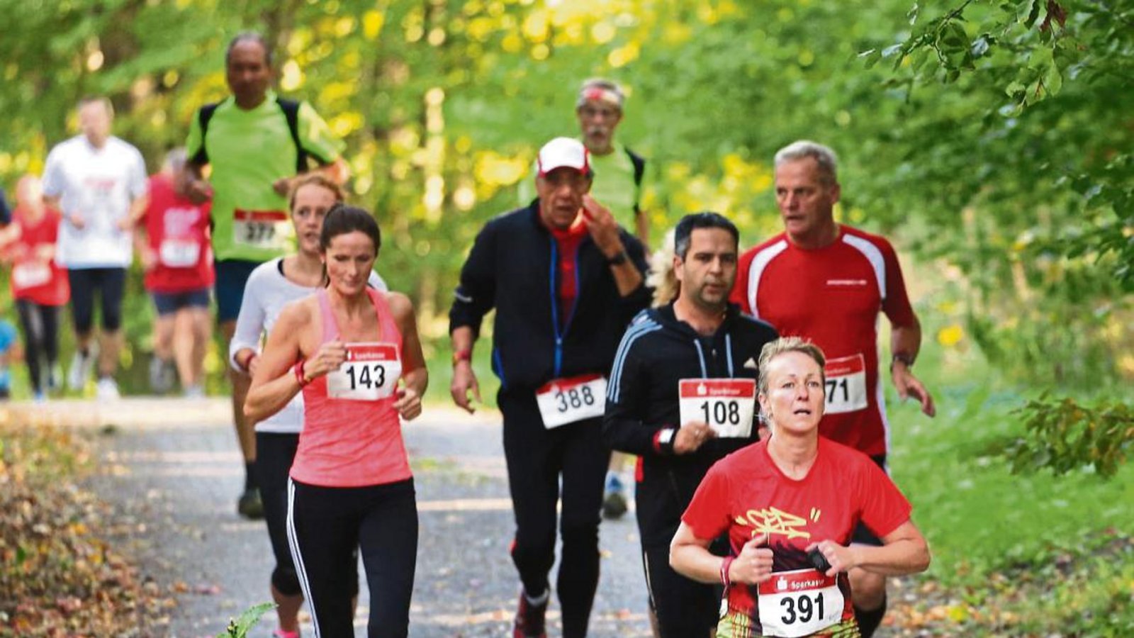 Die Streckenführung beim Volkslauf der SFG Serres verläuft vollständig durch den Wald zwischen Wiernsheim und Wurmberg. Foto: Küppers Die Streckenführung beim Volkslauf der SFG Serres verläuft vollständig durch den Wald zwischen Wiernsheim und Wurmberg. Foto: Küppers