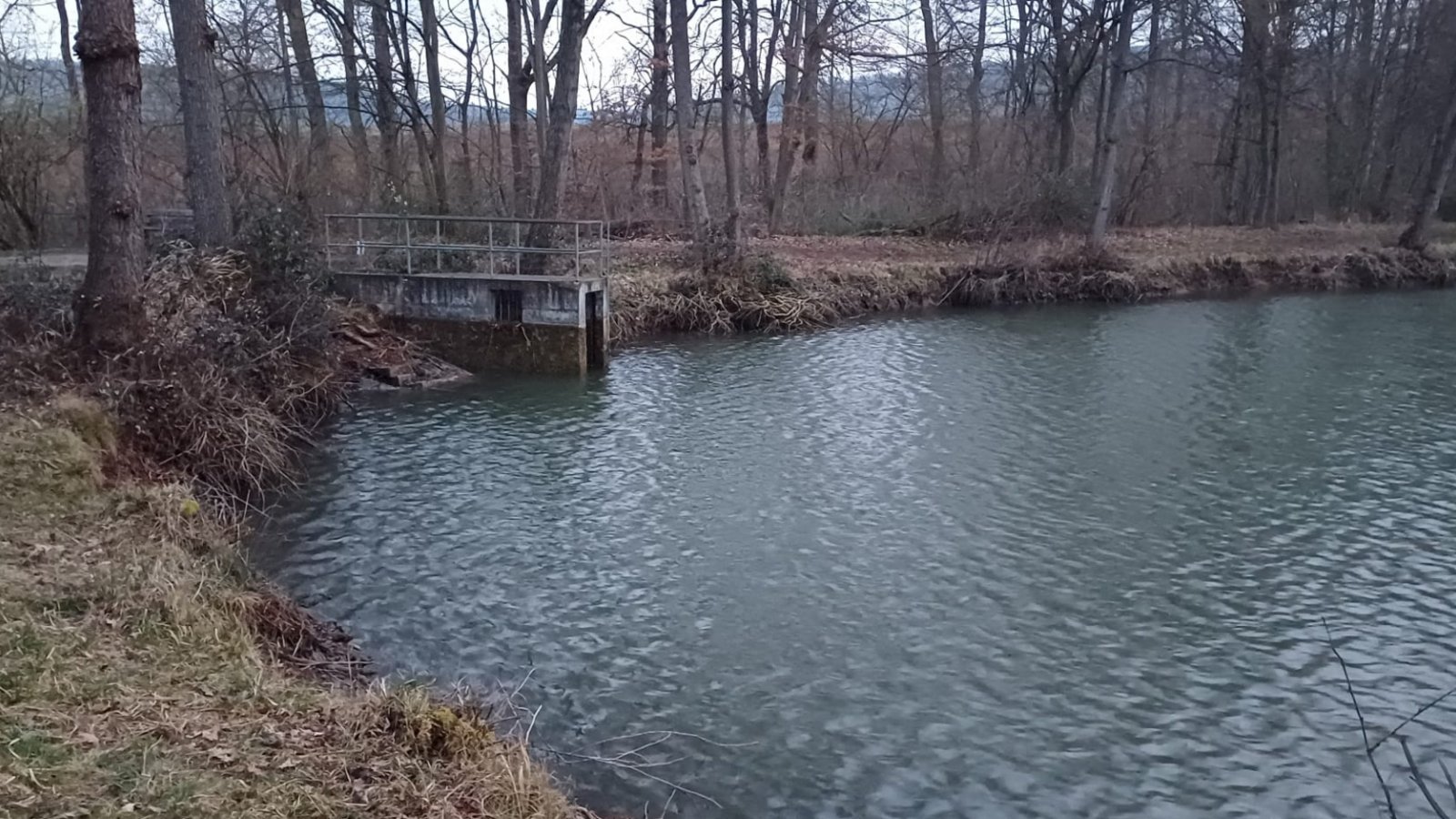 Hier noch mit, bald schon ohne Wasser: der Obere Seewaldsee.  Foto: pv