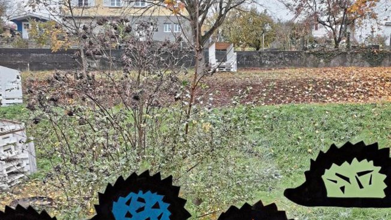 Die Igel der Klasse 1b der Vaihinger Schlossbergschule sind auf dem Weg zum Winterschlaf. Foto: Pfisterer Die Igel der Klasse 1b der Vaihinger Schlossbergschule sind auf dem Weg zum Winterschlaf. Foto: Pfisterer