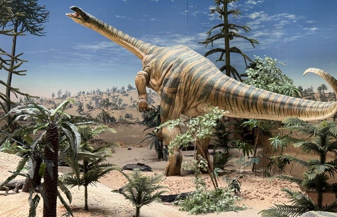 Der Dinosaurier Plateosaurus lebte während der Triaszeit in Südwestdeutschland.<span class='image-autor'>Foto: Naturkundemuseum Stuttgart/M. Rech</span>