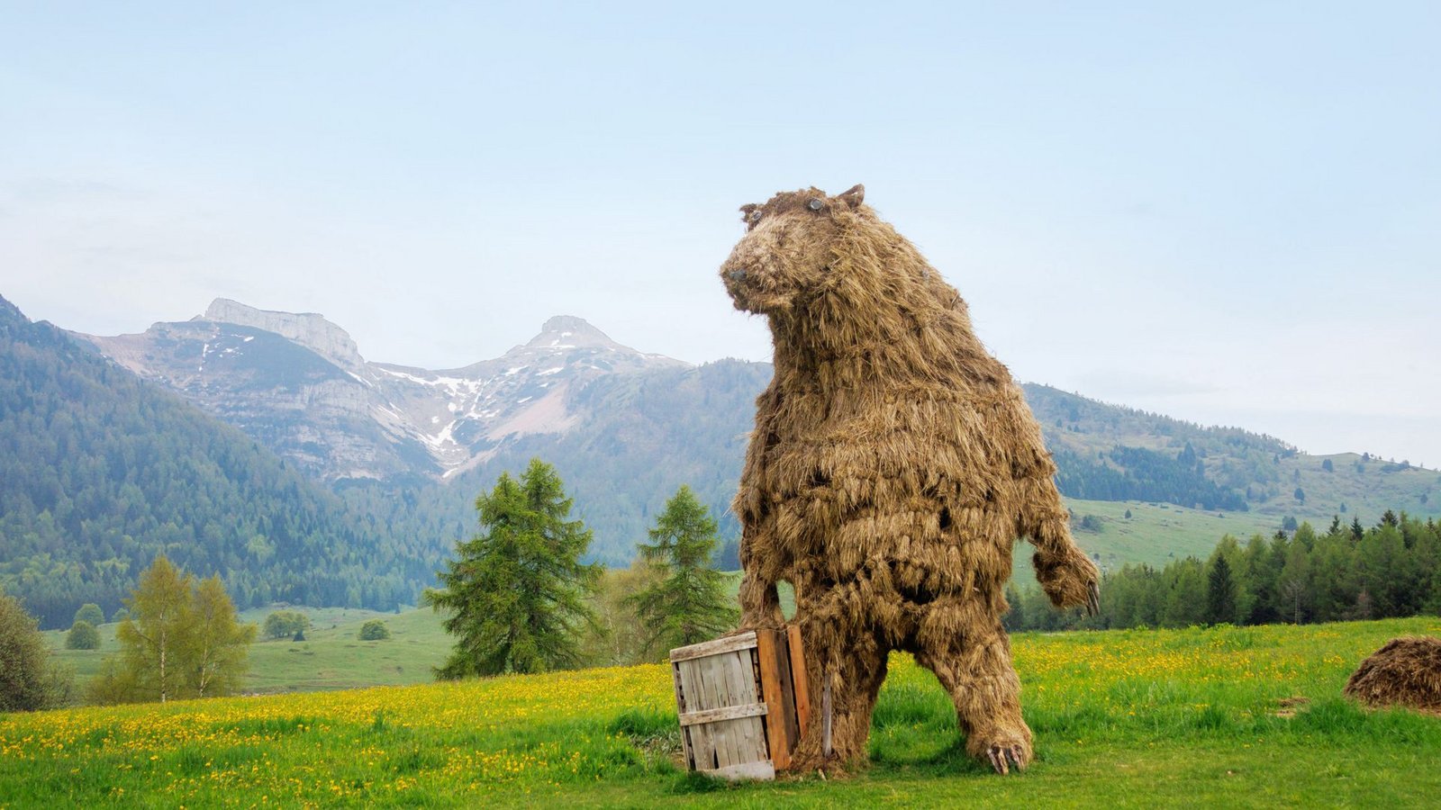 Die überdimensionierte Stroh-Skulptur eines Bären in Trentino.Foto: IMAGO/Oryk HAIST Die überdimensionierte Stroh-Skulptur eines Bären in Trentino.Foto: IMAGO/Oryk HAIST