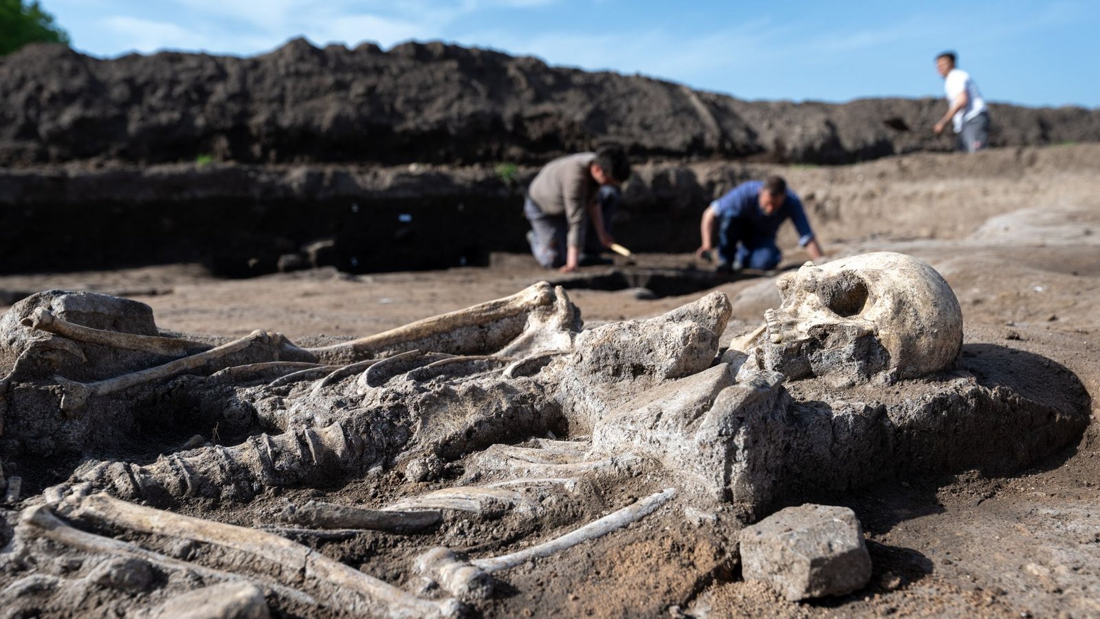 Archäologen arbeiten auf dem Grabungsfeld einer Kirche bei Memleben an Bestattungen.Foto: dpa/Hendrik Schmidt