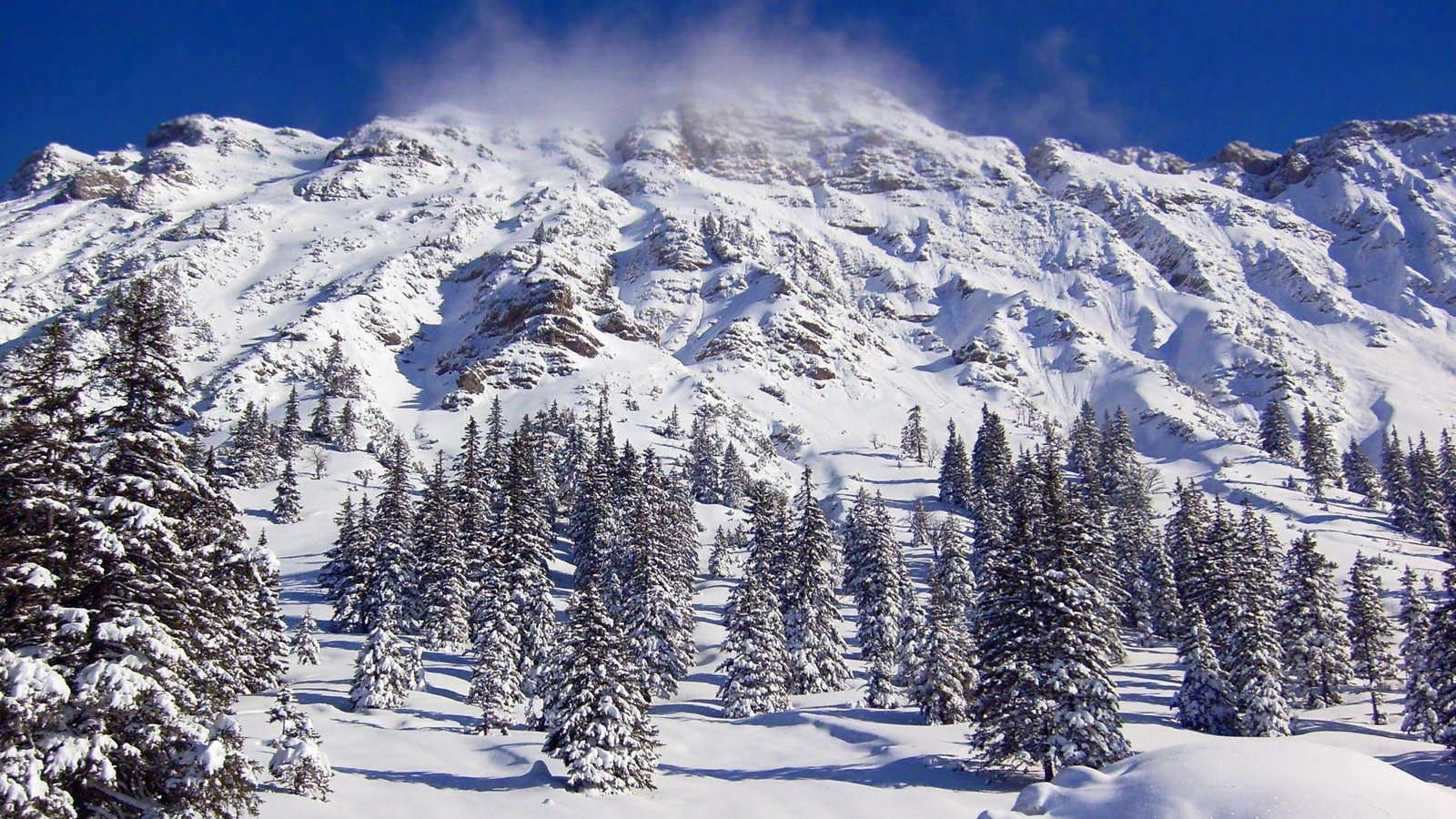 Der Iseler ist ein 1876 Meter hoher Nebengipfel des Kühgundkopfs in den Allgäuer Alpen.Foto: imago/Panthermedia/Astrid08 Der Iseler ist ein 1876 Meter hoher Nebengipfel des Kühgundkopfs in den Allgäuer Alpen.Foto: imago/Panthermedia/Astrid08