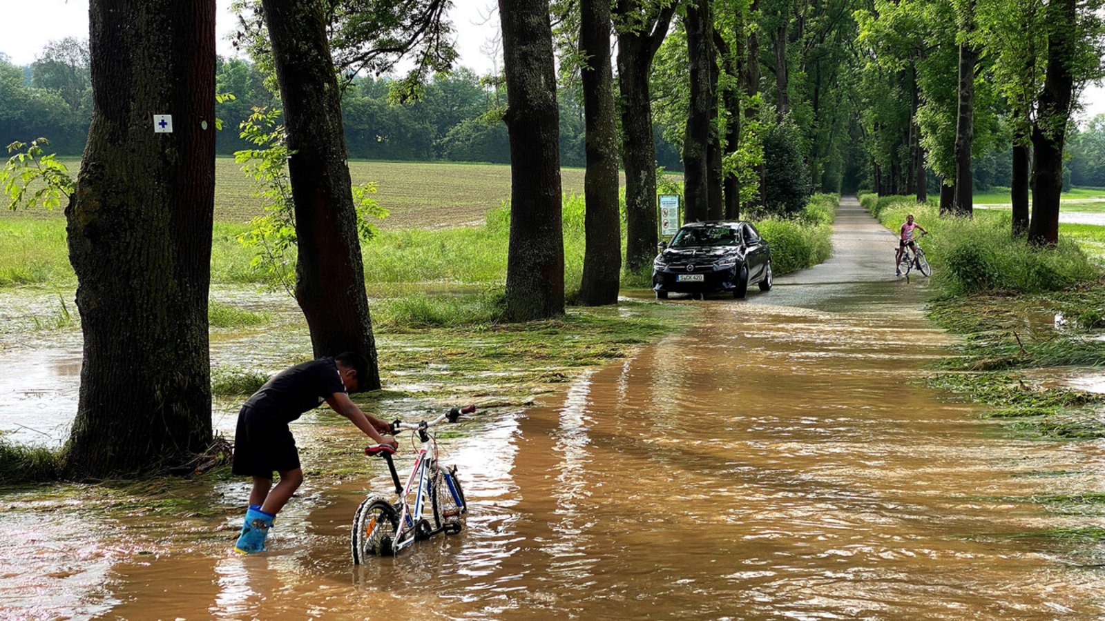 Durch den Starkregen Anfang Juni wurden viele Bäume an der Körsch unterspült.Foto: Imago/Wilhelm Mierendorf