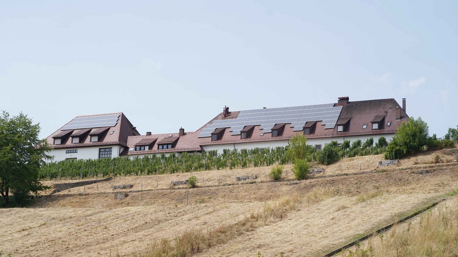 Trockene Wiesen in Stuttgart im Juli 2023. Wie die Trockenheit der Natur in Stuttgart zusetzt, zeigt die Bildergalerie.Foto: Andreas Rosar/ Fotoagentur-Stuttg Trockene Wiesen in Stuttgart im Juli 2023. Wie die Trockenheit der Natur in Stuttgart zusetzt, zeigt die Bildergalerie.Foto: Andreas Rosar/ Fotoagentur-Stuttg