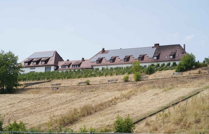 Trockene Wiesen in Stuttgart im Juli 2023. Wie die Trockenheit der Natur in Stuttgart zusetzt, zeigt die Bildergalerie.<span class='image-autor'>Foto: Andreas Rosar/ Fotoagentur-Stuttg</span>