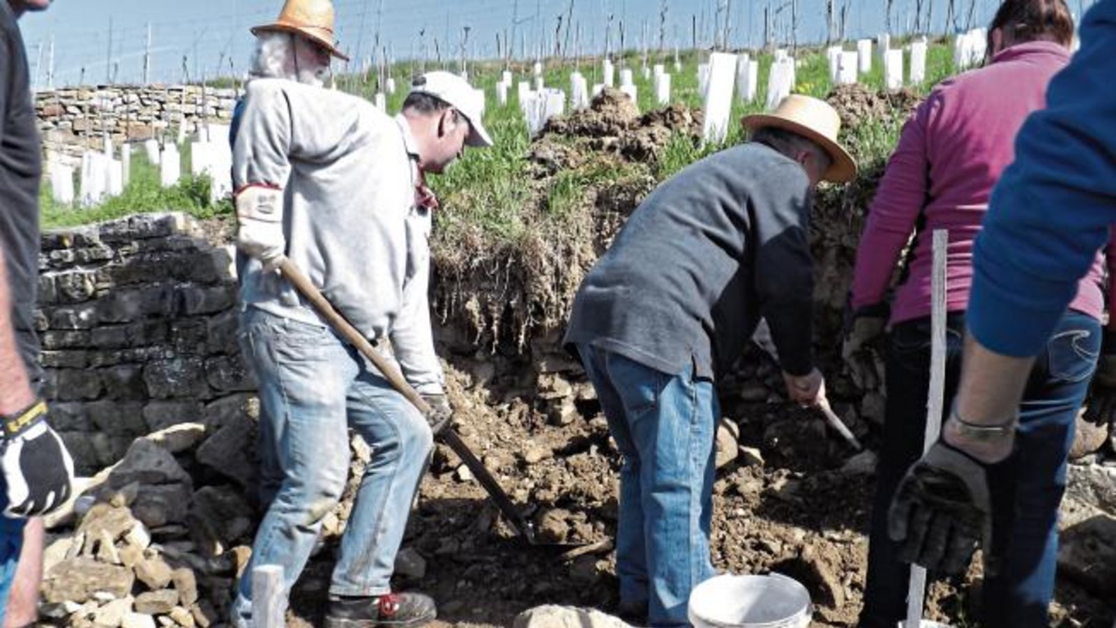 Der BUND-Bezirksverband Vaihingen veranstaltete einen Trockenmauer-Baukurs, bei dem Weinbergmauern wieder fachgerecht aufgesetzt wurden mit dem Ziel, das typische Landschaftsbild zu erhalten und die Trockenmauerbautechnik zu erlernen. Es wurde auch vermittelt, für welche Tiere und Pflanzen die Trockenmauer ein Lebensraum darstellt.Ein zünftiges Versper im Kornberg in Enzweihingen gab es dann auch. Foto: p Der BUND-Bezirksverband Vaihingen veranstaltete einen Trockenmauer-Baukurs, bei dem Weinbergmauern wieder fachgerecht aufgesetzt wurden mit dem Ziel, das typische Landschaftsbild zu erhalten und die Trockenmauerbautechnik zu erlernen. Es wurde auch vermittelt, für welche Tiere und Pflanzen die Trockenmauer ein Lebensraum darstellt.Ein zünftiges Versper im Kornberg in Enzweihingen gab es dann auch. Foto: p