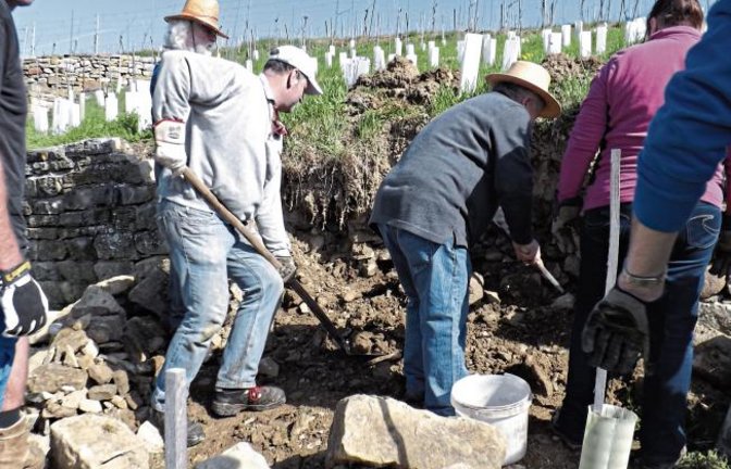 Der BUND-Bezirksverband Vaihingen veranstaltete einen Trockenmauer-Baukurs, bei dem Weinbergmauern wieder fachgerecht aufgesetzt wurden mit dem Ziel, das typische Landschaftsbild zu erhalten und die Trockenmauerbautechnik zu erlernen. Es wurde auch vermittelt, für welche Tiere und Pflanzen die Trockenmauer ein Lebensraum darstellt.Ein zünftiges Versper im Kornberg in Enzweihingen gab es dann auch.  Foto: p