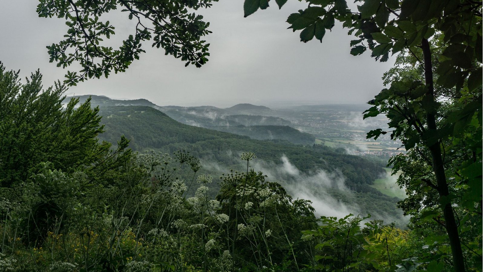 Nach dem Regen: Blick auf den Albtrauf vom Rottelstein nahe des FuchsecksFoto: Faltin Nach dem Regen: Blick auf den Albtrauf vom Rottelstein nahe des FuchsecksFoto: Faltin