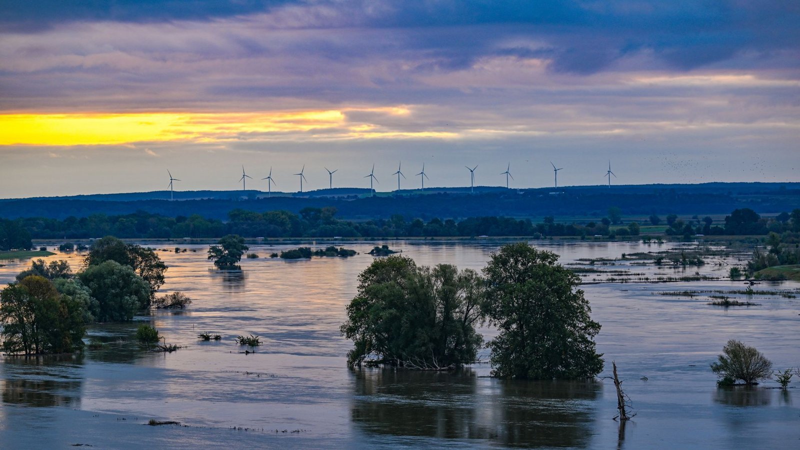 Das Hochwasserrisiko ist in vielen Bundesländern hoch – wie hier in Brandenburg 2024. (Symbolbild)Foto: dpa/Patrick Pleul