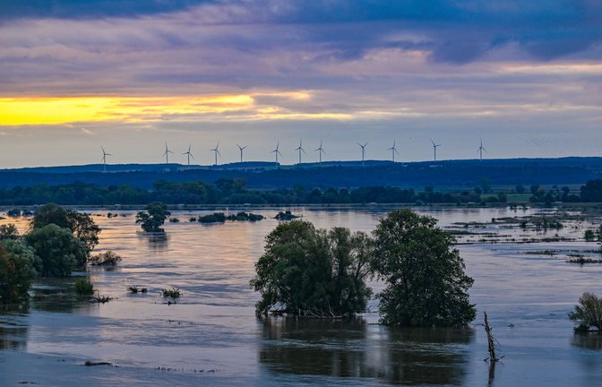 Das Hochwasserrisiko ist in vielen Bundesländern hoch – wie hier in Brandenburg 2024. (Symbolbild)<span class='image-autor'>Foto: dpa/Patrick Pleul</span>