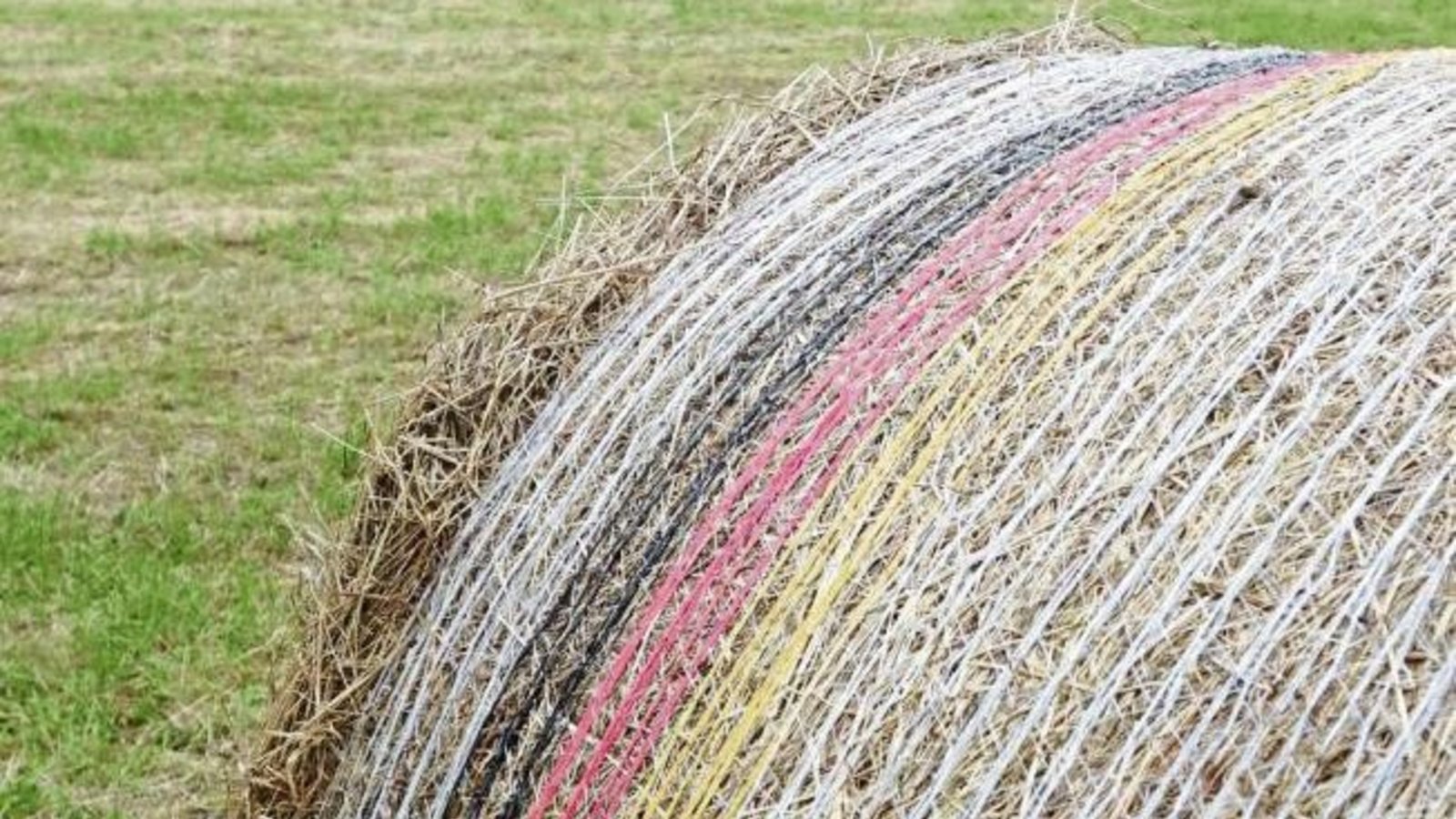 Bauern im Fußball-Fieber? Schwarz-Rot-Gold ziert die Heuballen. Foto: Rücker