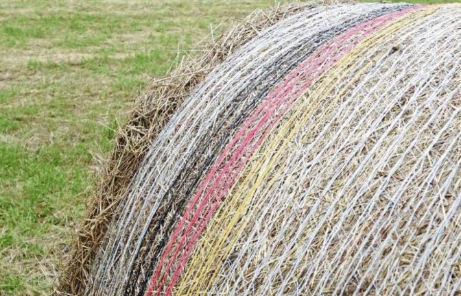 Bauern im Fußball-Fieber? Schwarz-Rot-Gold ziert die Heuballen. Foto: Rücker