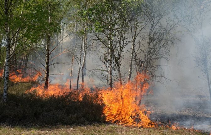Durch Hitze und Trockenheit ist die Bekämpfung von Waldbränden schwieriger geworden.<span class='image-autor'>Manuel Genolet/dpa</span>