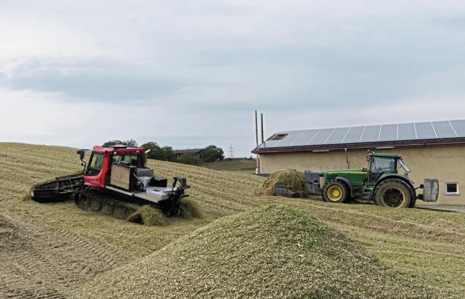Raupenfahrzeuge sind nicht nur auf der Skipiste nützlich. Sondern auch auf „Futterbergen“ aus gehäckseltem Mais, wie das Foto von der Biogasanlage der Familie Beck in Hochdorf zeigt.  Foto: Pfisterer