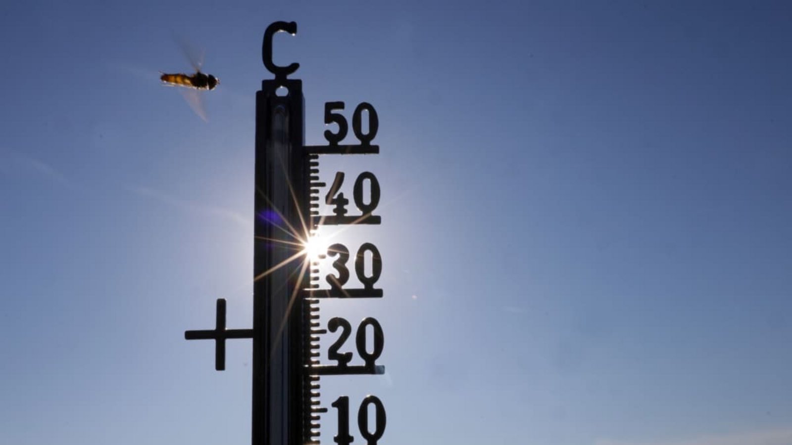 Bayern erwartet am Sonntag bis zu 36 Grad und DWD-Hitzewarnungen in vielen Regionen. Am Abend und in der Nacht zum Montag drohen örtlich Gewitter mit Starkregen, Böen und Hagel.Thomas Warnack/dpa