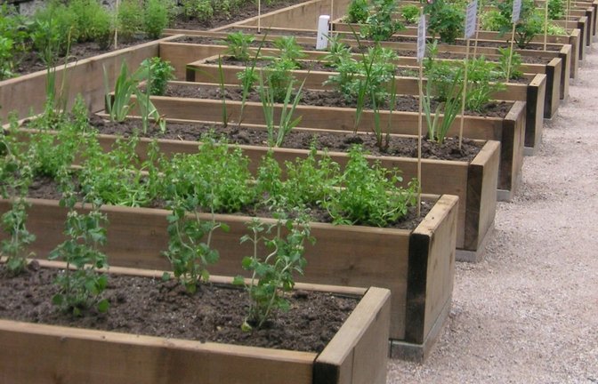 Kräutergarten im Kloster Maulbronn. <span class='image-autor'>Foto: SSG</span>