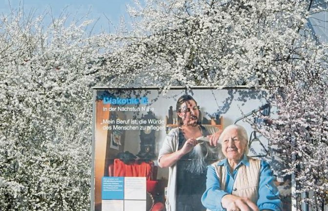 Schöne Blütendeko für eine gute Sache an der B 10 in Enzweihingen.  Foto: Arning