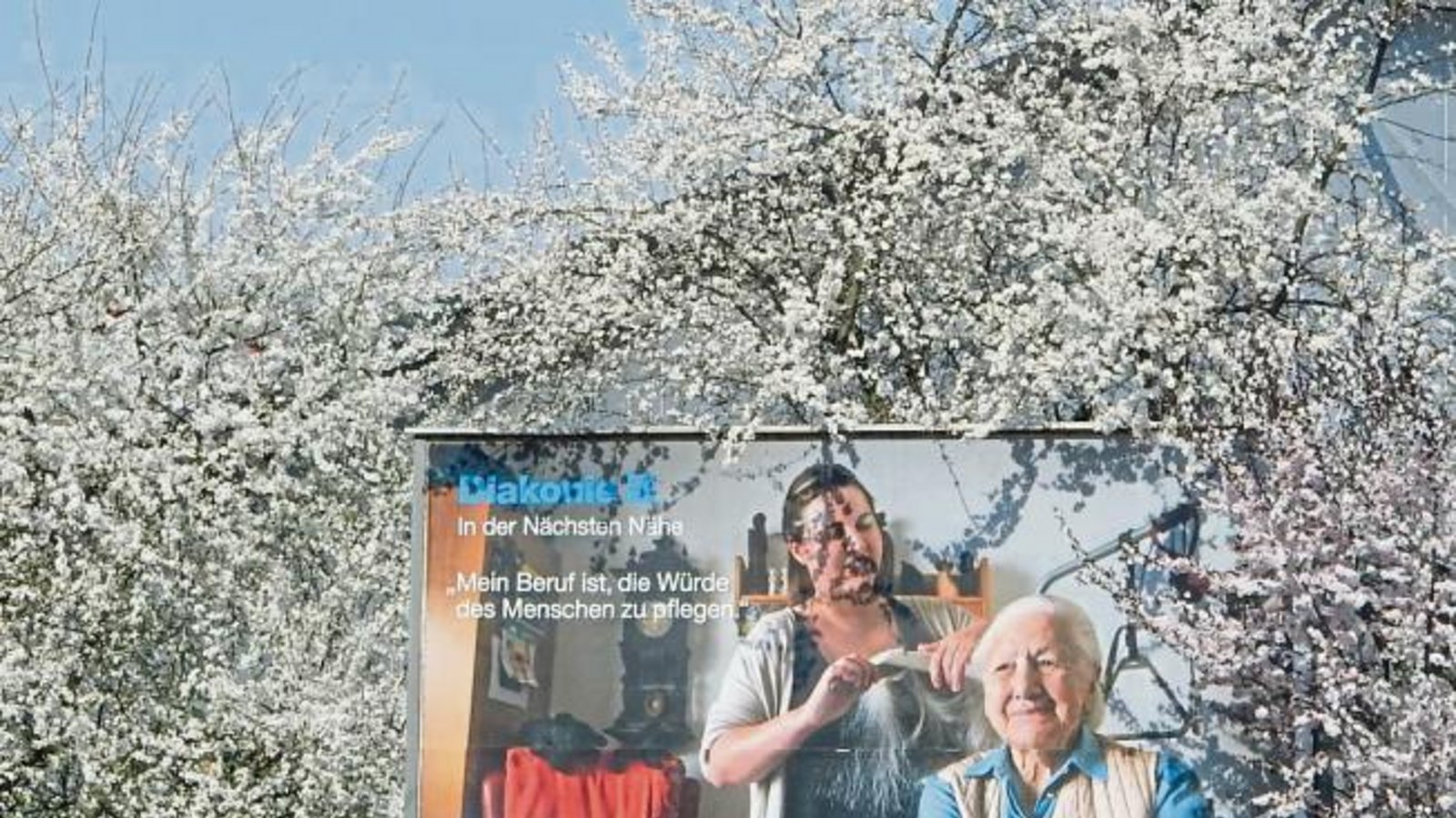 Schöne Blütendeko für eine gute Sache an der B 10 in Enzweihingen.  Foto: Arning