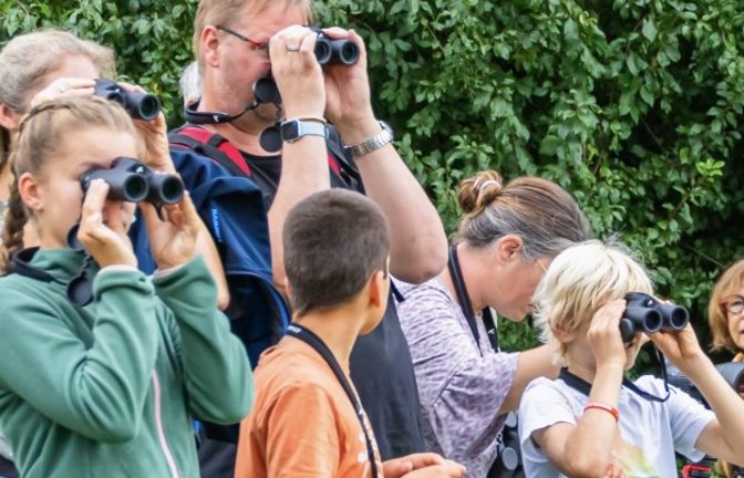 Welcher Vogel fliegt denn da?  <span class='image-autor'>Foto: Naturpark Stromberg-Heuchelberg/ Frank Zisler</span>