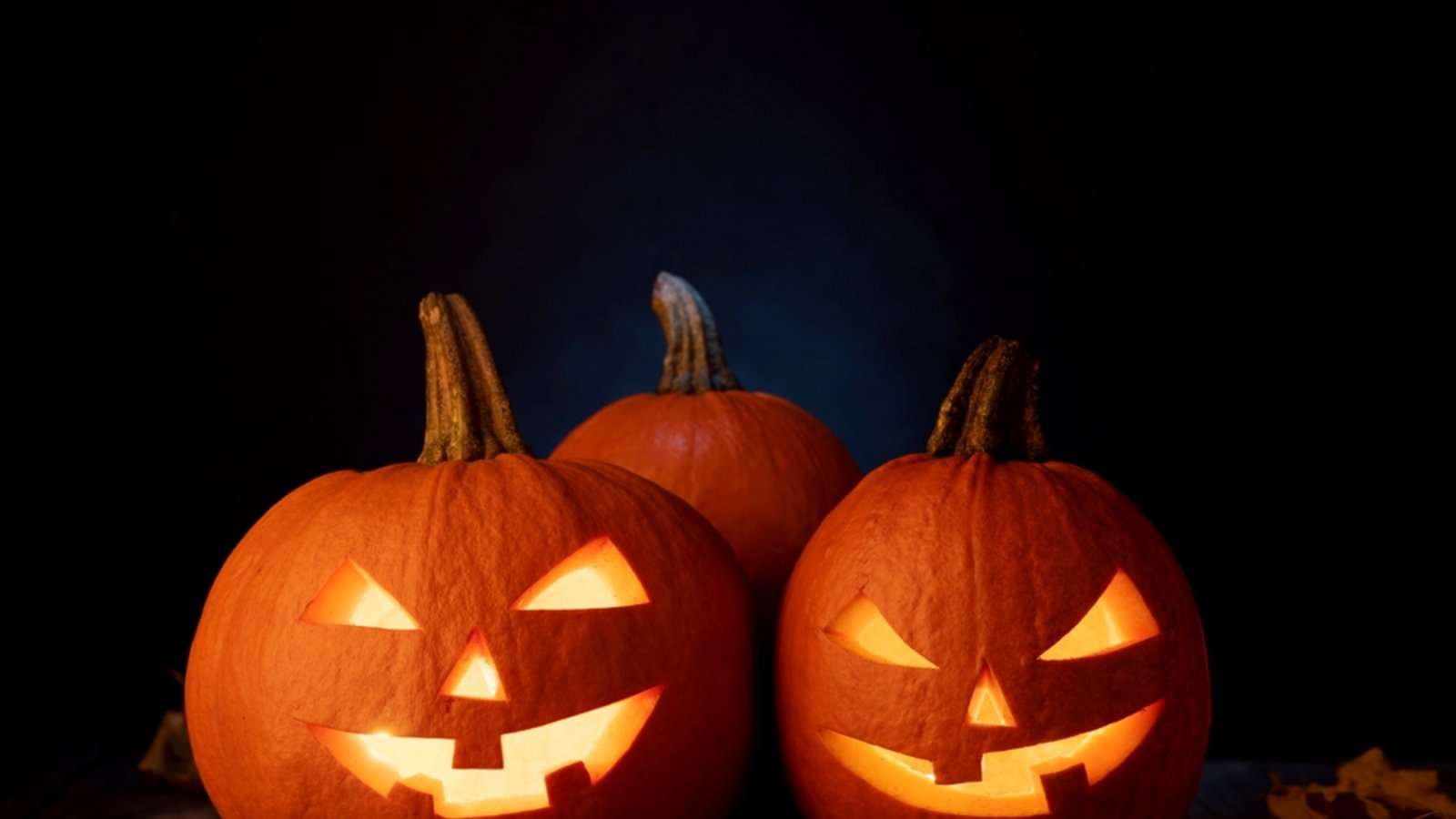 So halten die Halloween-Kürbisse länger.Foto: evgeeenius / shutterstock.com So halten die Halloween-Kürbisse länger.Foto: evgeeenius / shutterstock.com