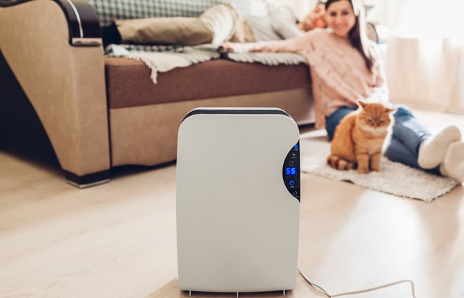 Raumentfeuchter sind in der Regel nicht notwendig.<span class='image-autor'>Foto: Mariia Boiko / shutterstock.com</span>