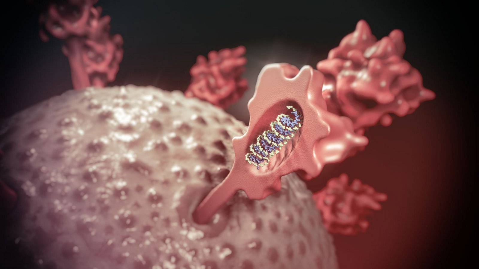 Die Medizin nutzt mRNA-basierte Arzneimittel für Impfstoffe, Gen- und Zelltherapeutika – hochwirksame Arzneimittel gegen Infektions- und Erbkrankheiten und gegen Krebs.Foto: Imago/Panthermedia Die Medizin nutzt mRNA-basierte Arzneimittel für Impfstoffe, Gen- und Zelltherapeutika – hochwirksame Arzneimittel gegen Infektions- und Erbkrankheiten und gegen Krebs.Foto: Imago/Panthermedia