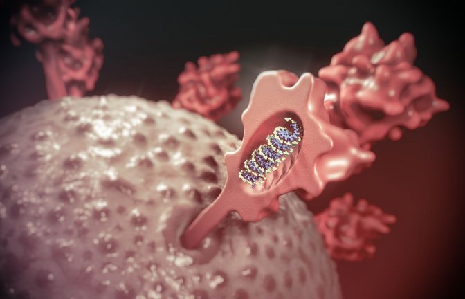 Die Medizin nutzt mRNA-basierte Arzneimittel für Impfstoffe, Gen- und Zelltherapeutika – hochwirksame Arzneimittel gegen Infektions- und Erbkrankheiten und gegen Krebs.<span class='image-autor'>Foto: Imago/Panthermedia</span>