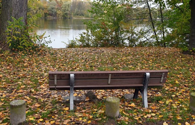 Flucht in idyllischer Umgebung: An diesem Baggersee bei Germersheim ist ein verurteilter Mörder im vergangenen Herbst seinen Bewachern entkommen.<span class='image-autor'>Foto: dpa/Uli Deck</span>