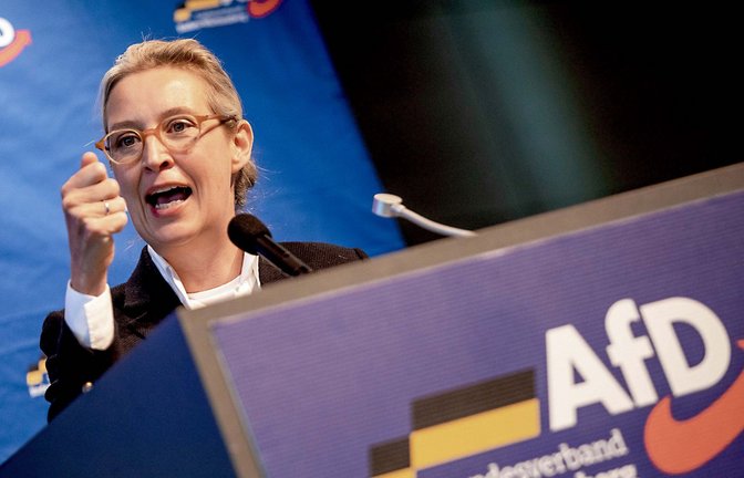 AfD-Chefin Alice Weidel gilt als gesetzt.<span class='image-autor'>Foto: dpa/Christoph Schmidt</span>