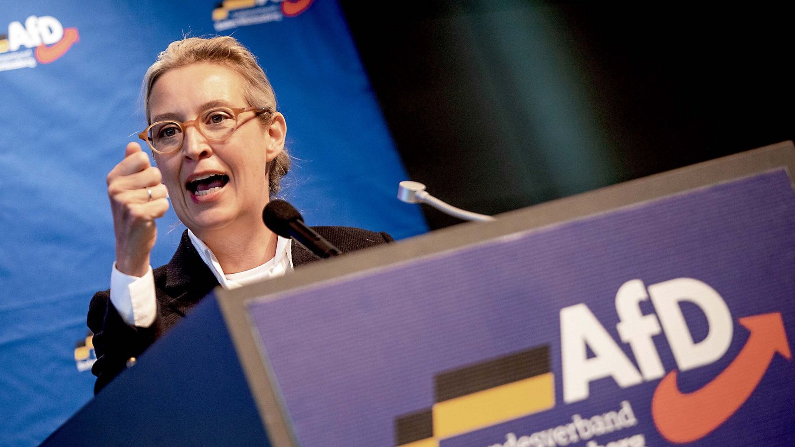 AfD-Chefin Alice Weidel gilt als gesetzt.Foto: dpa/Christoph Schmidt AfD-Chefin Alice Weidel gilt als gesetzt.Foto: dpa/Christoph Schmidt