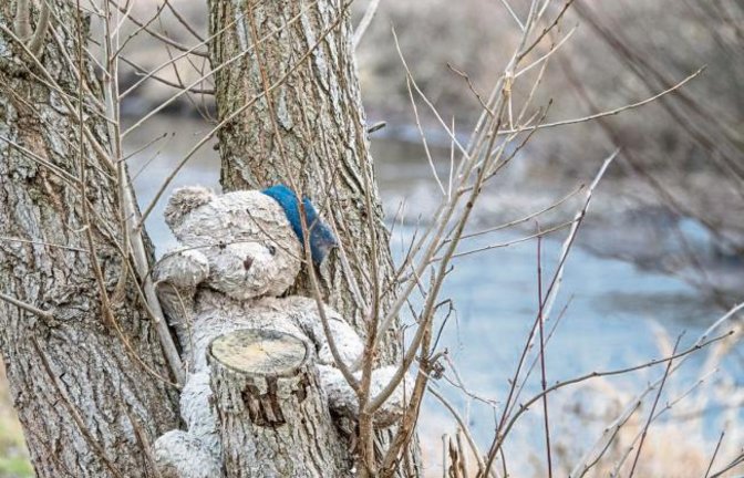 Dieser kleine Bursche wartet an der Enz in Roßwag auf seine Menschen. Foto: Mede