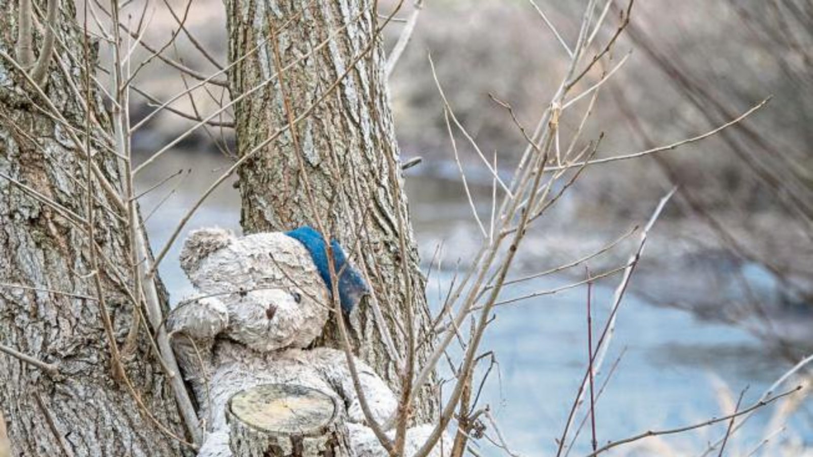 Dieser kleine Bursche wartet an der Enz in Roßwag auf seine Menschen. Foto: Mede