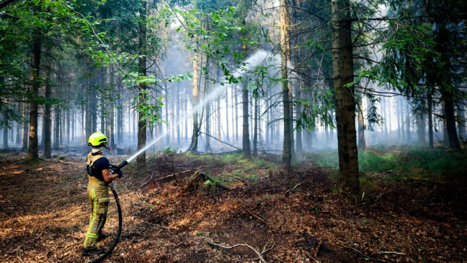 Fast ununterbrochen kämpfen Feuerwehren gegen massive Waldbrände - wie hier aktuell in Belgien.Christoph Reichwein/dpa Fast ununterbrochen kämpfen Feuerwehren gegen massive Waldbrände - wie hier aktuell in Belgien.Christoph Reichwein/dpa