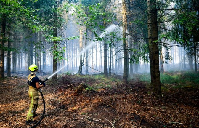 Fast ununterbrochen kämpfen Feuerwehren gegen massive Waldbrände - wie hier aktuell in Belgien.<span class='image-autor'>Christoph Reichwein/dpa</span>