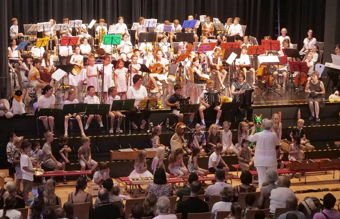 Erntet viel Applaus: die Jugend beim Kinderkonzert der Jugendmusikschule Vaihingen. <span class='image-autor'>Foto: Friedrich</span>