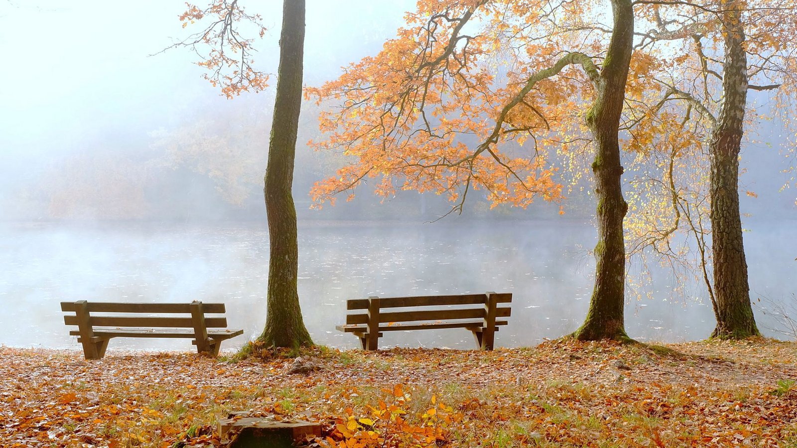 Der meteorologische Herbst beginnt am 1. September – ob die Hitze bis dahin verschwindet?Foto: IMAGO/Panthermedia/Lohnerwind via imago-images.de Der meteorologische Herbst beginnt am 1. September – ob die Hitze bis dahin verschwindet?Foto: IMAGO/Panthermedia/Lohnerwind via imago-images.de