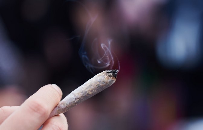 „Für viele war es schwer, einen vernünftigen Umgang mit Cannabis zu erlernen“, sagt Gundula Barsch.<span class='image-autor'>Foto: dpa/Annette Riedl</span>
