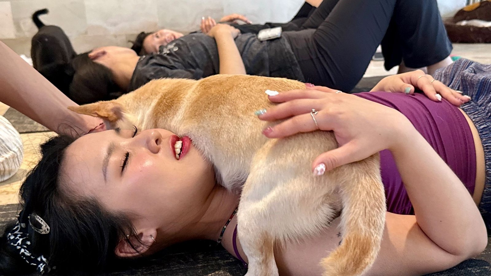 Auch die Teilnehmer entspannen, wenn sich ein Hundebaby auf ihnen zusammenrollt.Foto: Carola Frentzen/dpa Auch die Teilnehmer entspannen, wenn sich ein Hundebaby auf ihnen zusammenrollt.Foto: Carola Frentzen/dpa