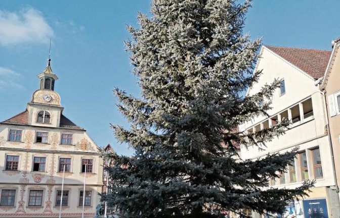 Seines Kerzenschmuckes bereits beraubt, sieht der Weihnachtsbaum auf dem Vaihinger Marktplatz dem Ende seiner Dienstzeit entgegen.  Foto: Banholzer