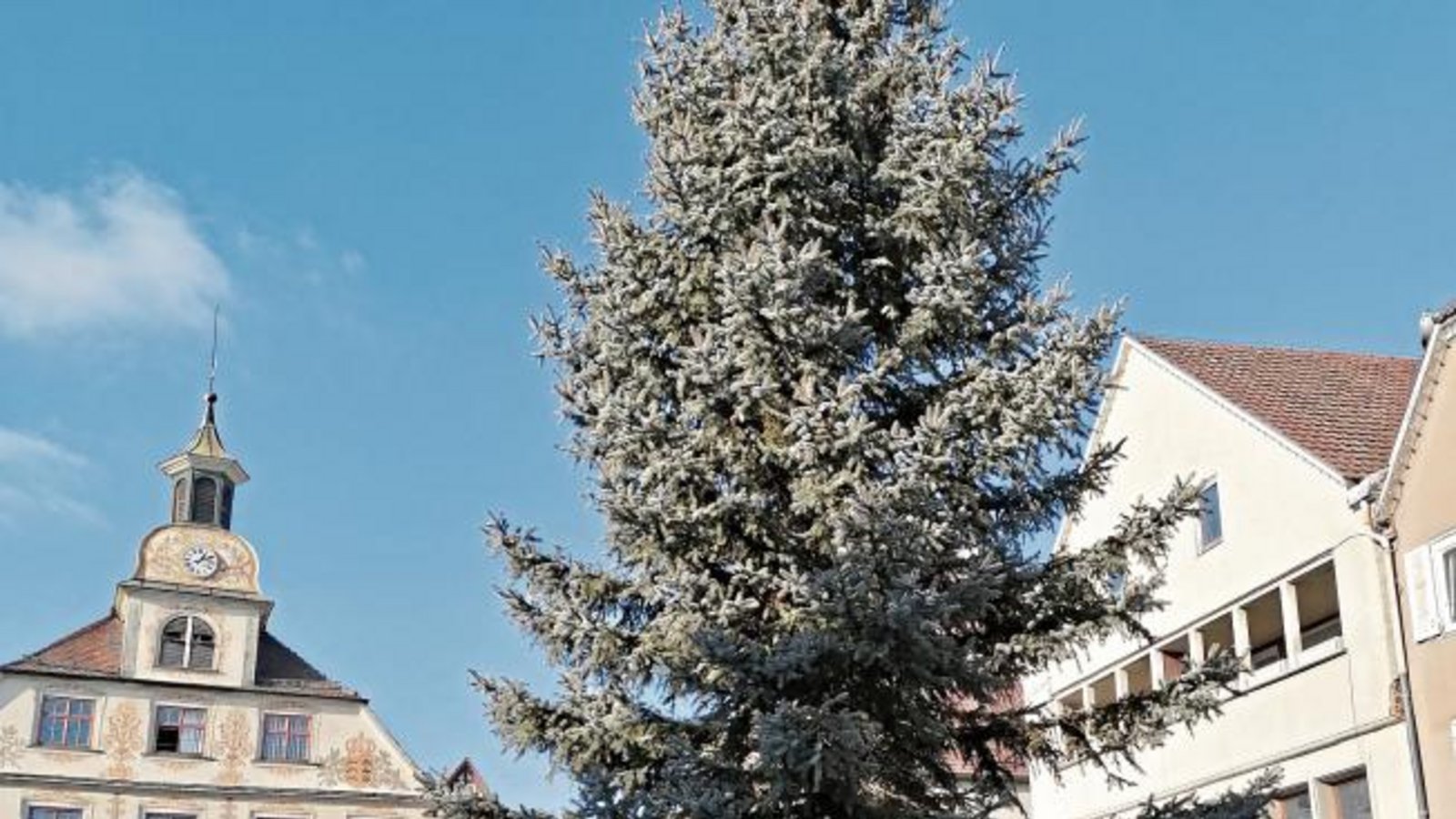 Seines Kerzenschmuckes bereits beraubt, sieht der Weihnachtsbaum auf dem Vaihinger Marktplatz dem Ende seiner Dienstzeit entgegen. Foto: Banholzer Seines Kerzenschmuckes bereits beraubt, sieht der Weihnachtsbaum auf dem Vaihinger Marktplatz dem Ende seiner Dienstzeit entgegen. Foto: Banholzer